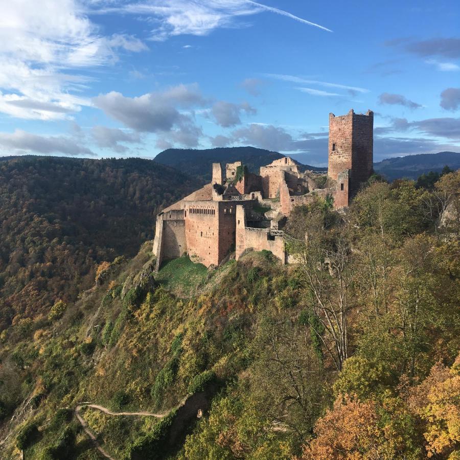 Apartment Le Du Moulin Ribeauville (Haut-Rhin)
